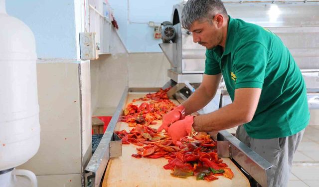 Kahramanmaraş'ta biber salçası üretimi hız kazandı