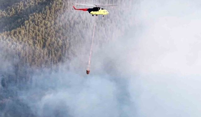 Kastamonu'daki orman yangını, ekiplerin müdahalesiyle söndürüldü