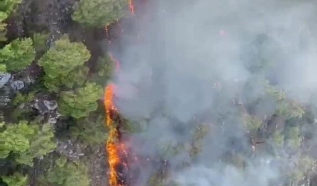 Kemer'de Orman Yangını Alarm Verdi
