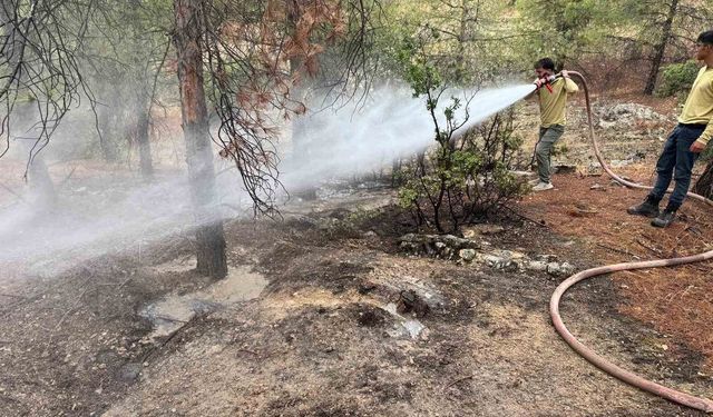 Kilis'te yıldırımın düşmesiyle ormanlık alanda yangın çıktı