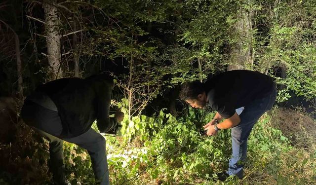 Kütahya ormanlık alanda silahlı saldırı: Bir kişi gözaltında