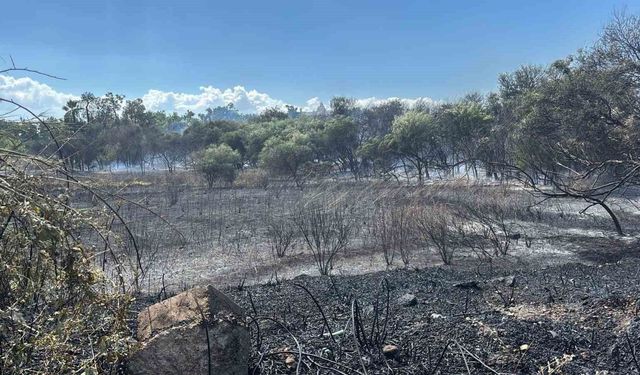 Manavgat Sorgun Mahallesi Boğaz Mendirek yolunda korkutan yangın