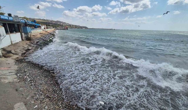 Marmara'da Poyraz, Deniz Ulaşımını Aksatıyor