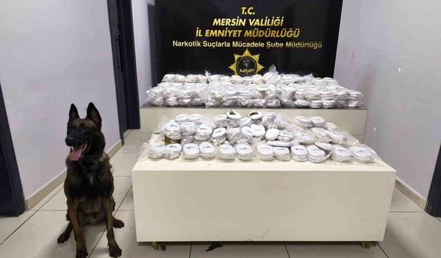 Mersin'de 14 milyon liralık uyuşturucu operasyonu