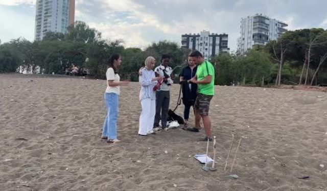 Mersin'de deniz kaplumbağası yuvalarının yüzde 80'inde yavru çıkışı tamamlandı- Video