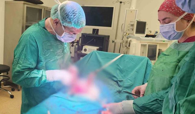 Miyomlar Gebelik Sürecini Tehdit Ediyor