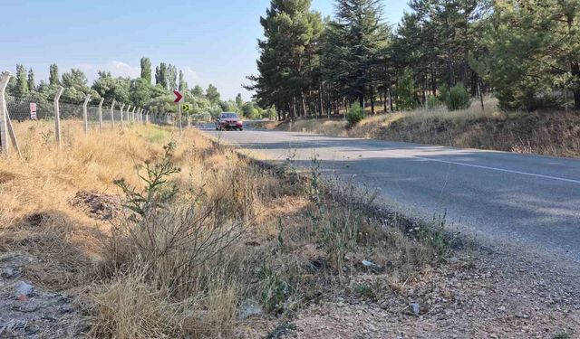 Muhtar, yol kenarındaki kurumuş otlar için yangın tehlikesine dikkat çekti