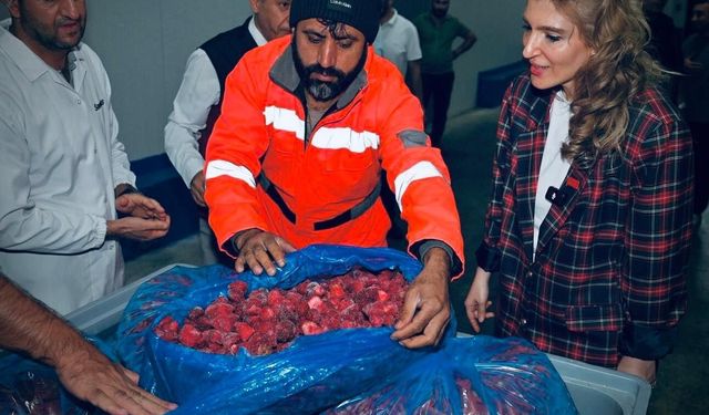 Ölmeztoprak: 'Malatya'nın üretim ve emek potansiyeli her geçen gün artıyor'