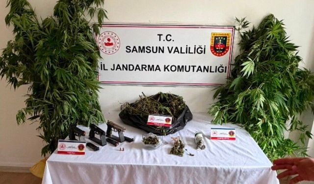 Salıpazarı'nda uyuşturucu baskını: 1 kilo 215 gram esrar ve 114 kök kenevir ele geçirildi