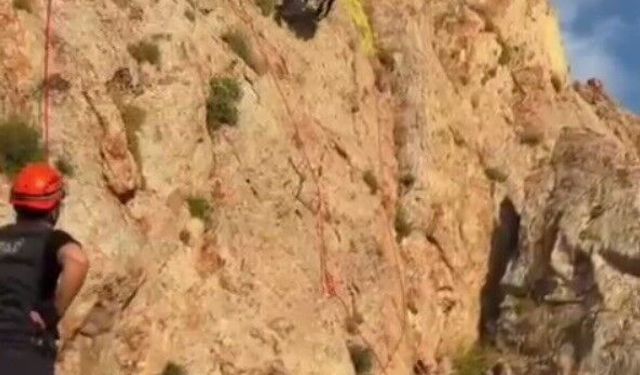 Sarp Kayalıklarda Mahsur Kalan Keçiler 4 Gün Sonra Kurtarıldı