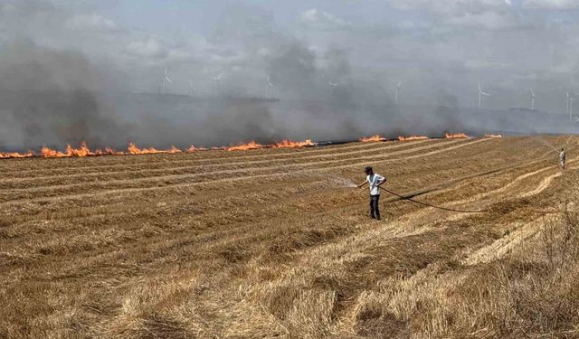 Silivri Yangın: Alevler TEM’e dayandı! Otoyol kapatıldı, tesis ve çiftlik tahliye edildi