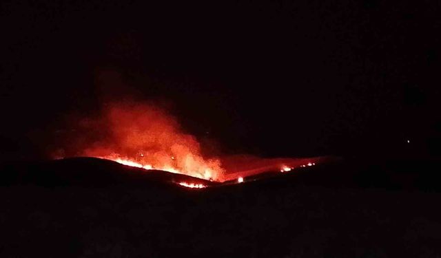 Silvan'da Anız ve Örtü Yangınıyla Mücadele Sürüyor