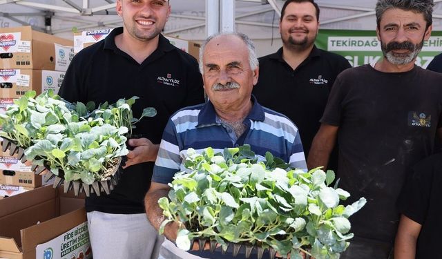 Tekirdağ'da Kışlık Sebze Fidesi Desteği: 104 Bin Fide Dağıtımı Başladı