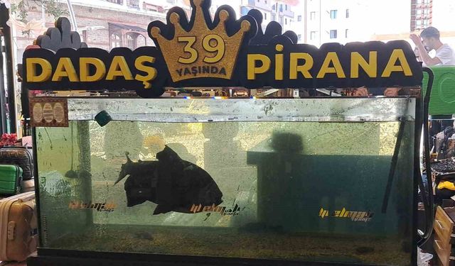 39 Yıllık 'Dadaş Pirana': Erzurum'un Çocukluk Hatırası