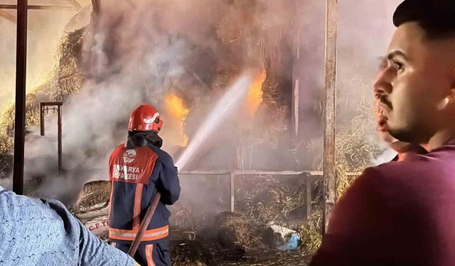 Adapazarı'nda samanlıkta çıkan yangın, 4 kişiyi hastanelik etti