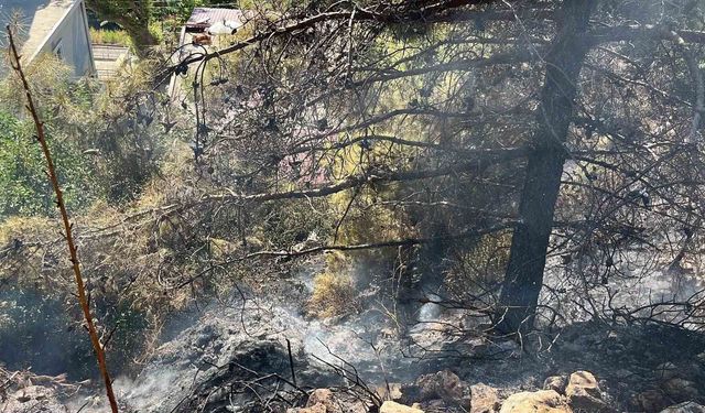 Alanya'da çalılık alanda çıkan yangın söndürüldü