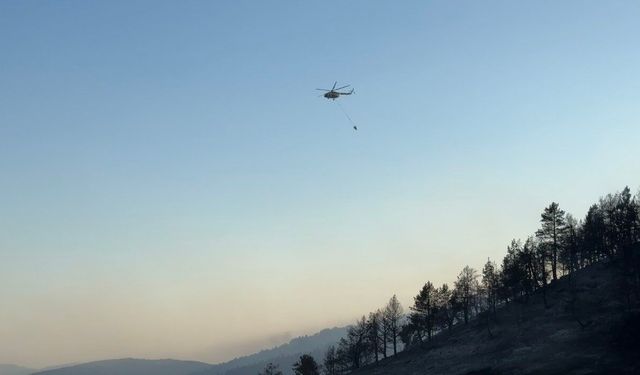 Ankara-Çankırı Sınırında Yangın: 60 Ekip ve 14 Araçla Mücadele Başarıyla Sonuçlandı