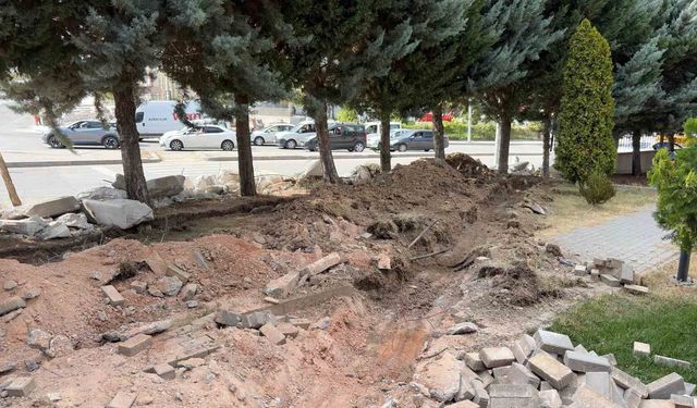 Ankara'da Yol Genişletme Projesi, 40 Ağacın Kesilmesiyle Tartışma Yarattı