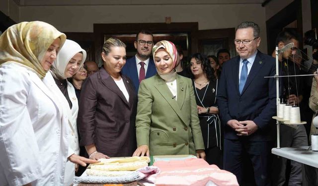 Bakan Göktaş, Kastamonu'da Aile Destek Merkezi'nin Açılışını Gerçekleştirdi