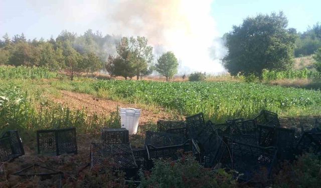 Bursa'da orman yangınına yoğun müdahale başladı