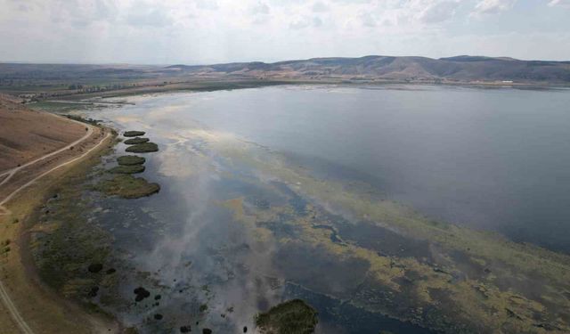 Çavuşçu Gölü Yeniden Suya Kavuştu, Hedef Balık Avlamak