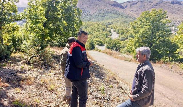 Dron Desteğiyle Kaybolan 9 Büyükbaş Hayvan Bulundu