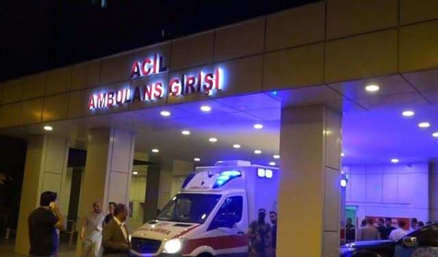 Erciş'teki Trafik Kazasında Otomobil Sürücüsü Ağır Yaralandı