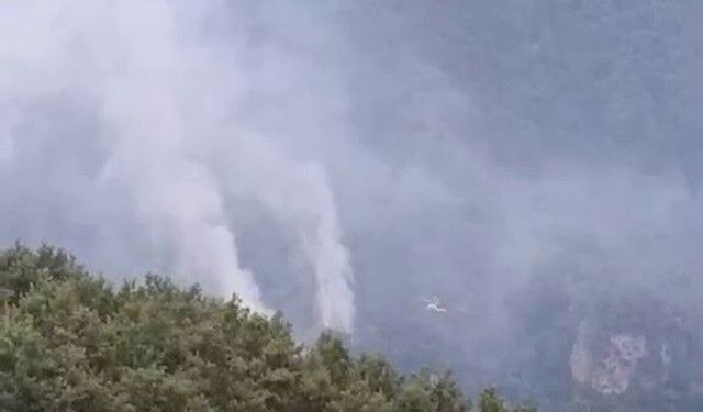 Hatay'daki Orman Yangınında Enerji Düşürüldü, Müdahale Sürüyor