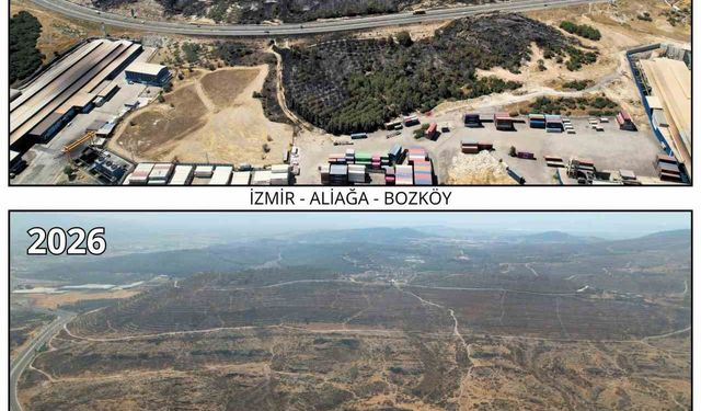 İzmir Ormanları Yeniden Fidanlarla Canlanıyor