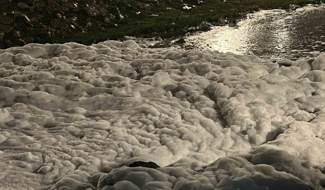 İzmit Sahilinde Oluşan Köpükler, Vatandaşlarda Merak Uyandırdı