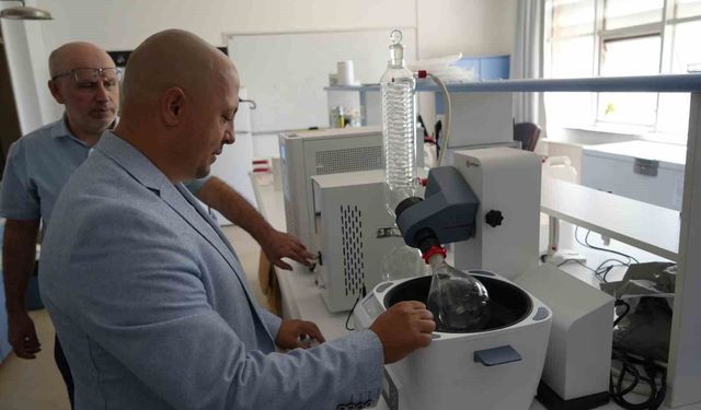 Kastamonu Ormanlarındaki Mantarlar Güneş Kremi Üretiyor