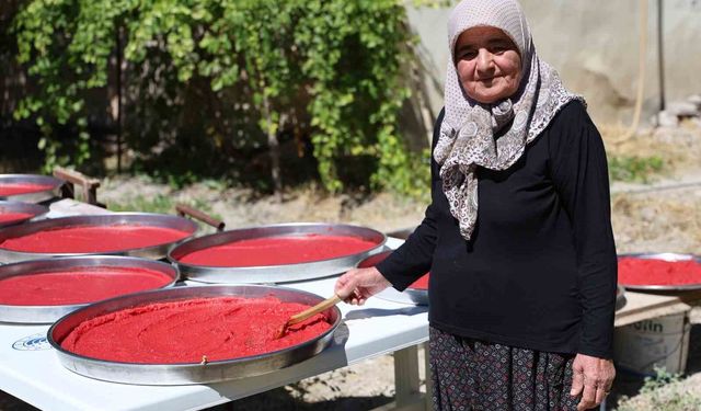 Kışa Hazırlık: Ağın'da Geleneksel Domates Salçası Güneşte Kurutuluyor