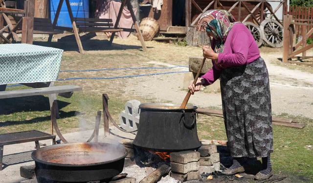 Kışa Hazırlık Başladı: Kadınlar Elmalardan Pekmez Yapıyor