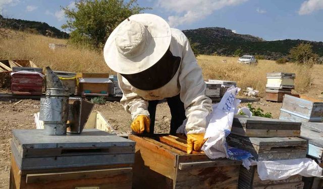 Malatya Balı Sınırlı Stokla Bin 500 TL'den Satışta