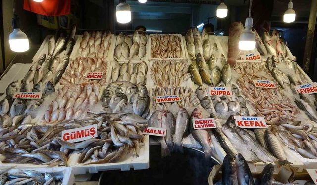 Mersin'de Av Yasağının Kalkmasıyla Balık Pazarları Canlandı