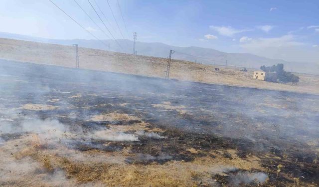 Muş'ta Anız Yangınları Kontrol Altına Alındı