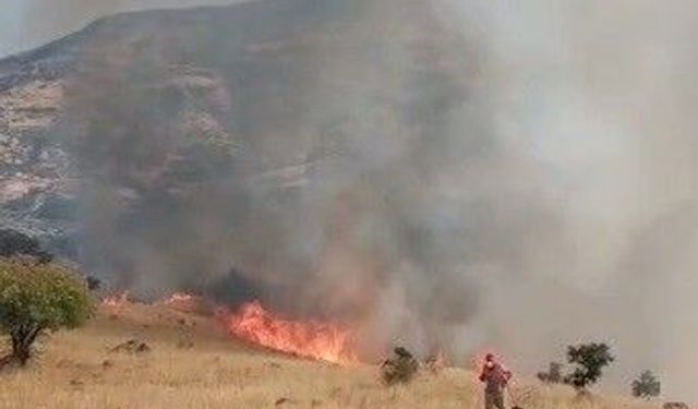 Nazımiye'de Orman Yangını: Havadan ve Karadan Mücadele Devam Ediyor