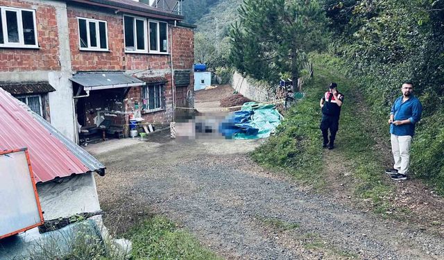 Ordu'da Kardeşler Arasında Arazi Kavgası Kanlı Sonuçlandı: 1 Ölü, 1 Yaralı