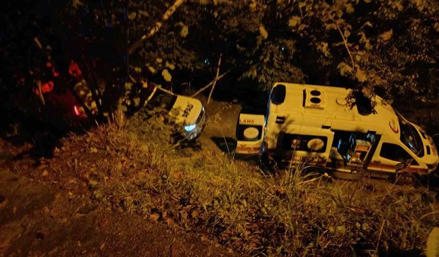 Rize'de park halindeyken kontrolden çıkan araç uçuruma düştü