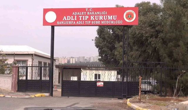 Şanlıurfa'da Tır Faciası: 1 Kişi Hayatını Kaybetti