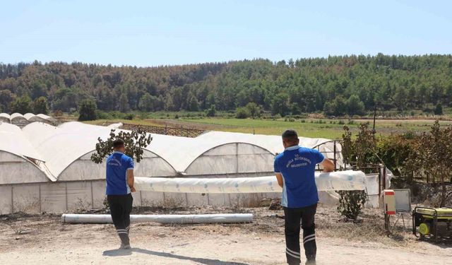 Seydikemer'de yangının yaraları bir günde sarılmaya başlandı