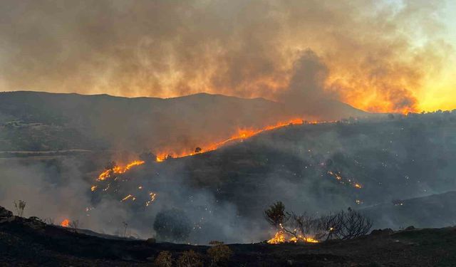 Siirt'te korkutan yangın: Alevler yerleşim yerine ilerliyor