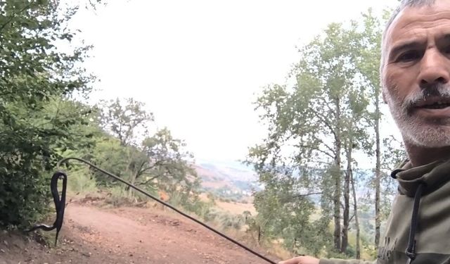 Tokat'ta Bahçesinde Kuşburnu Toplayan Fotoğrafçı, Endemik Baran Engereğiyle Karşılaştı