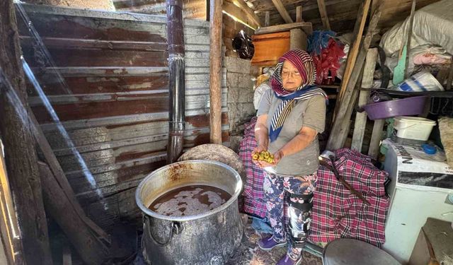 Torosların Taş Eriği Sofralara Geliyor: 10 Kilo Eriğinden 1 Kilo Ekşi