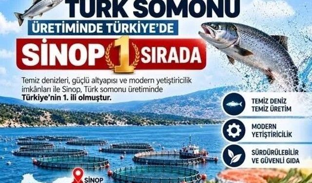 Türk Somonu, Sinop'tan Dünyaya Açılıyor