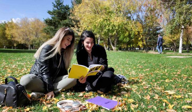Üniversite Öğrencilerinin Ağaçlara Dair Algısı Yeniden Değerlendirildi