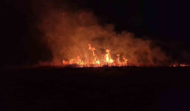 Adıyaman'da Endişe Verici Anız Yangını
