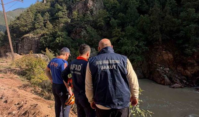 Artvin'de araç dereye düştü, bir kişi hafif yaralandı