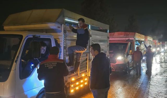 Aydın'da hayvan pazarlarında sıkı denetim sürüyor