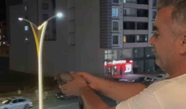 Bingöl'de İtfaiye, Havalandırma Boşluğuna Düşen 3 Güvercini Kurtardı